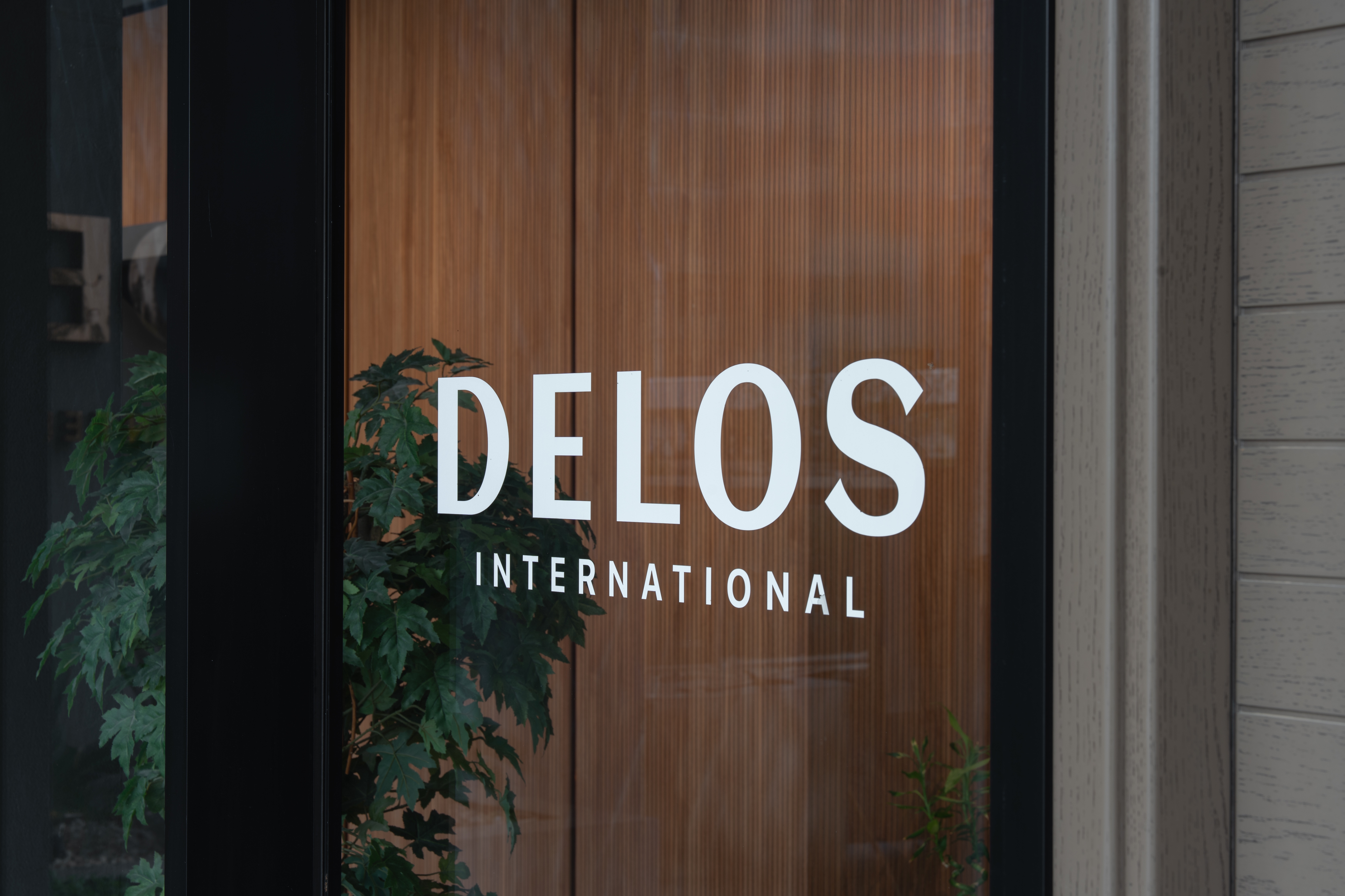 Delos International Wall